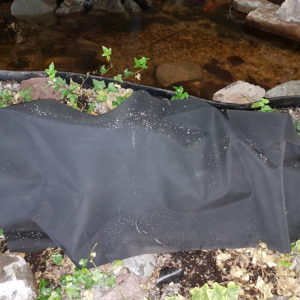 EPDM 1,02 mm Carlisle/Firestone Fertigmaß 0,60 x 3,05 m Einzelstück EPDM 1,02 mm Carlisle/Firestone Fertigmaß 0,60 x 3,05 m Einzelstück ()